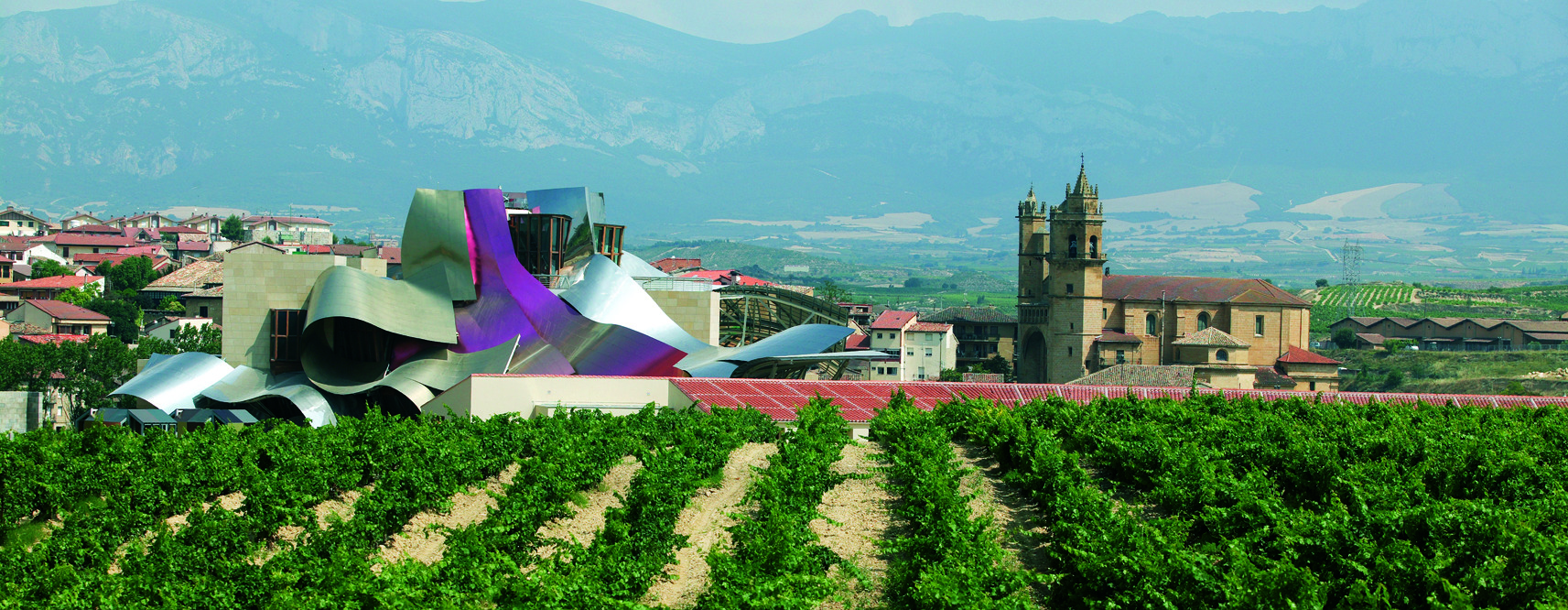 RiojaAlavesa_ViñedosYSierraEnRiojaAlavesa